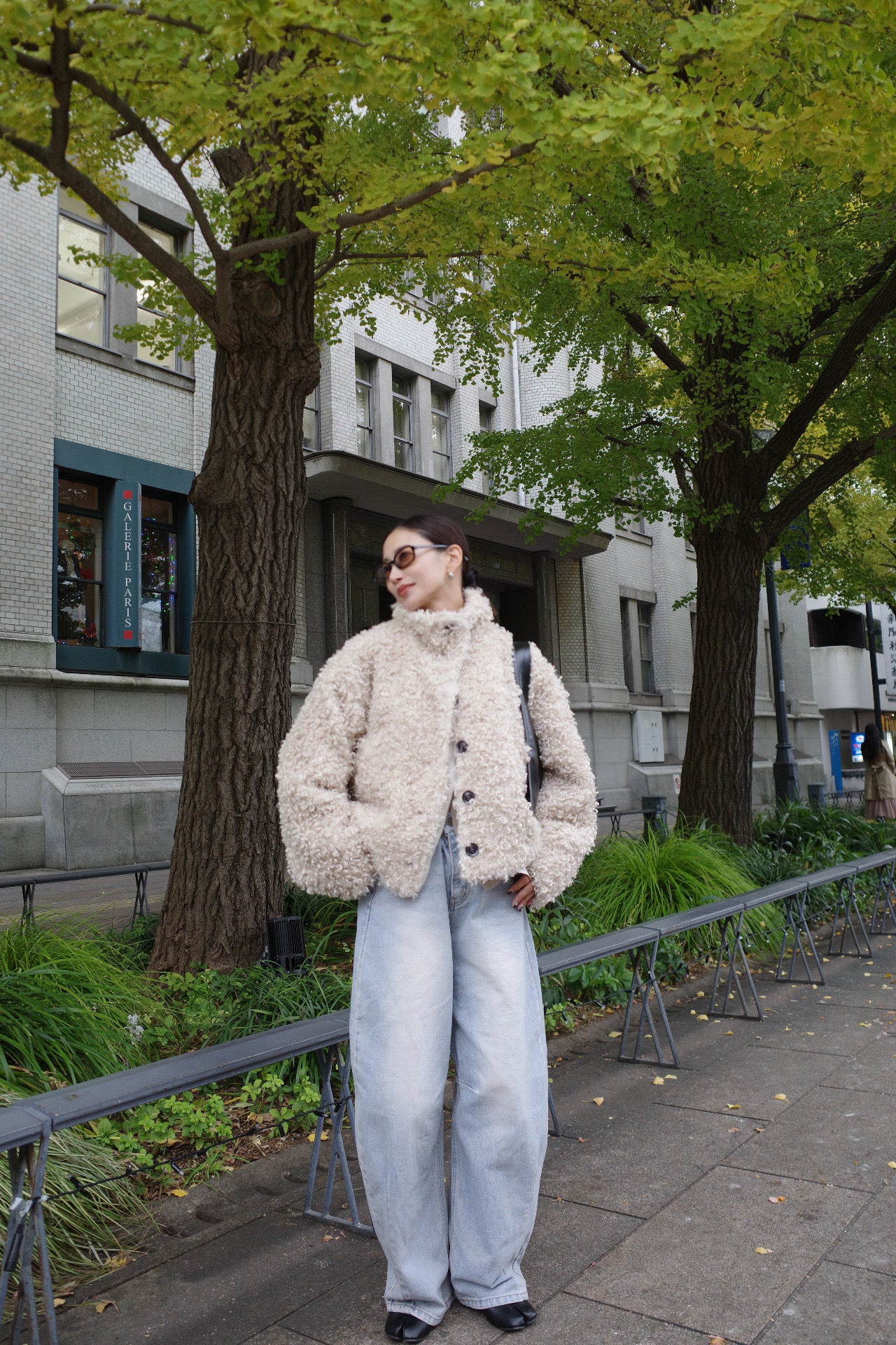 Poodle far short coat