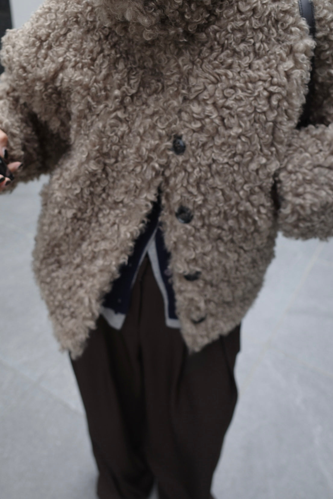 Poodle far short coat