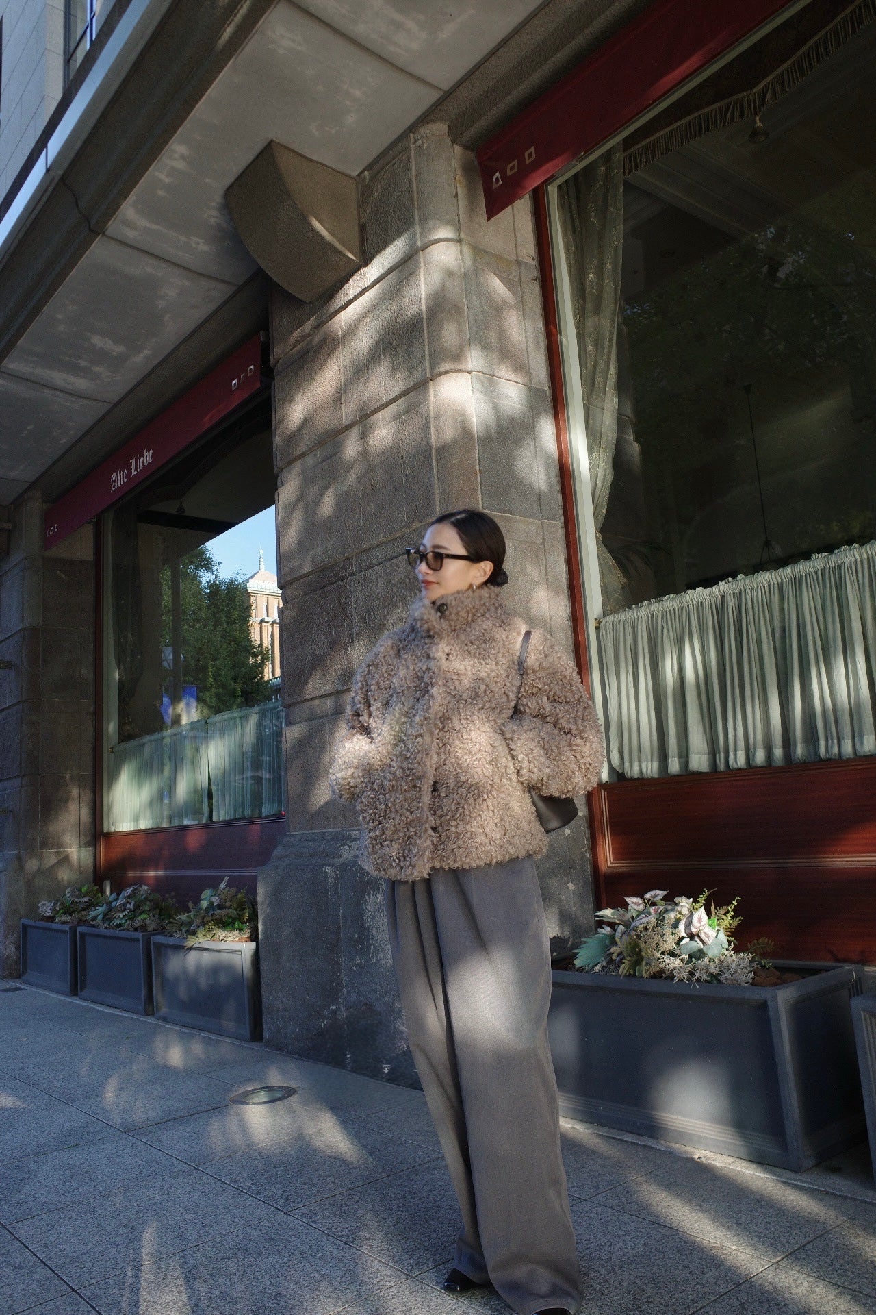 Poodle far short coat